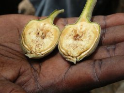 267822_10150260441034901_3933779_n